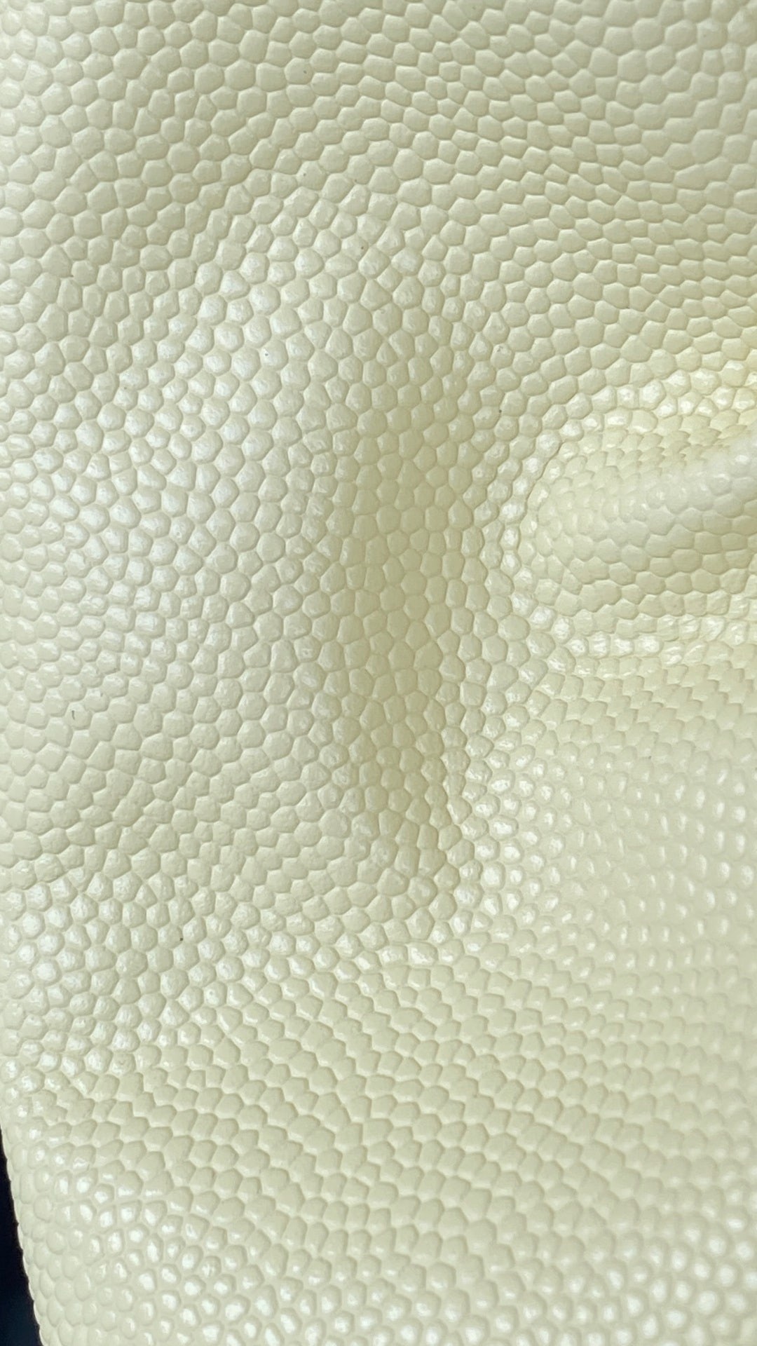 a77233b6d6d7f1ac3016d735396eda79_1781764539_7691.jpg